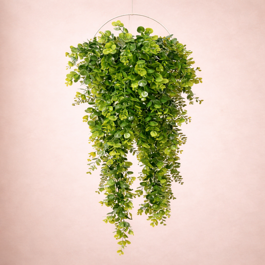 EverGreen™ Hanging Plant
