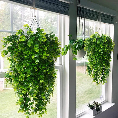 EverGreen™ Hanging Plant
